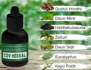 Minyak Kayu Putih Plus COV Herbal